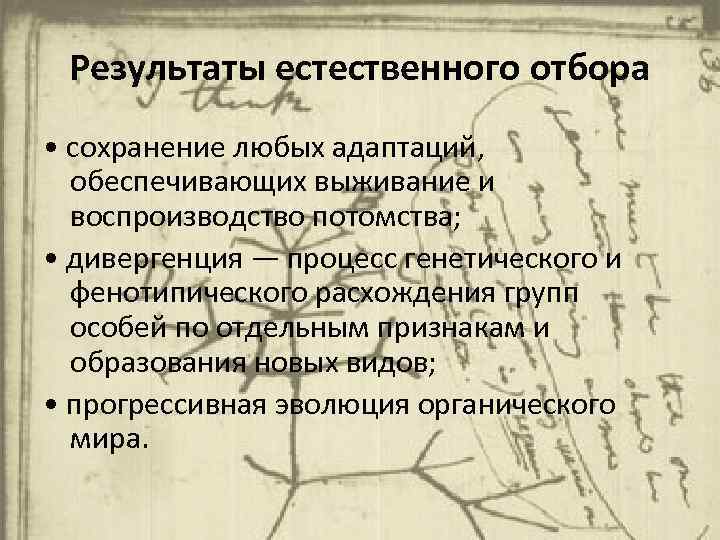 Результаты естественного отбора • сохранение любых адаптаций, обеспечивающих выживание и воспроизводство потомства; • дивергенция