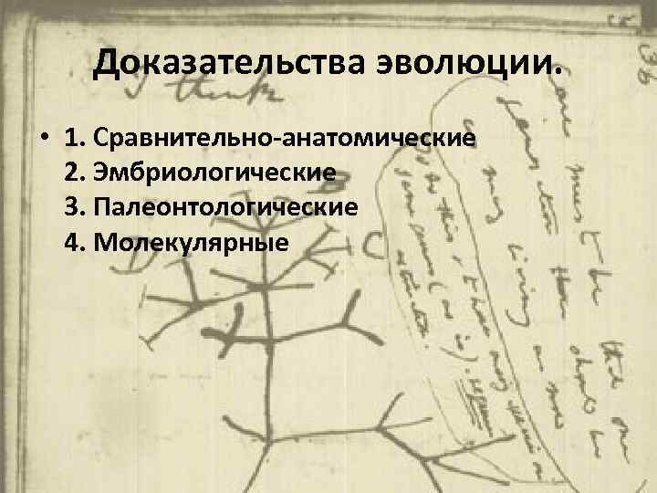 Доказательства эволюции. • 1. Сравнительно-анатомические 2. Эмбриологические 3. Палеонтологические 4. Молекулярные 