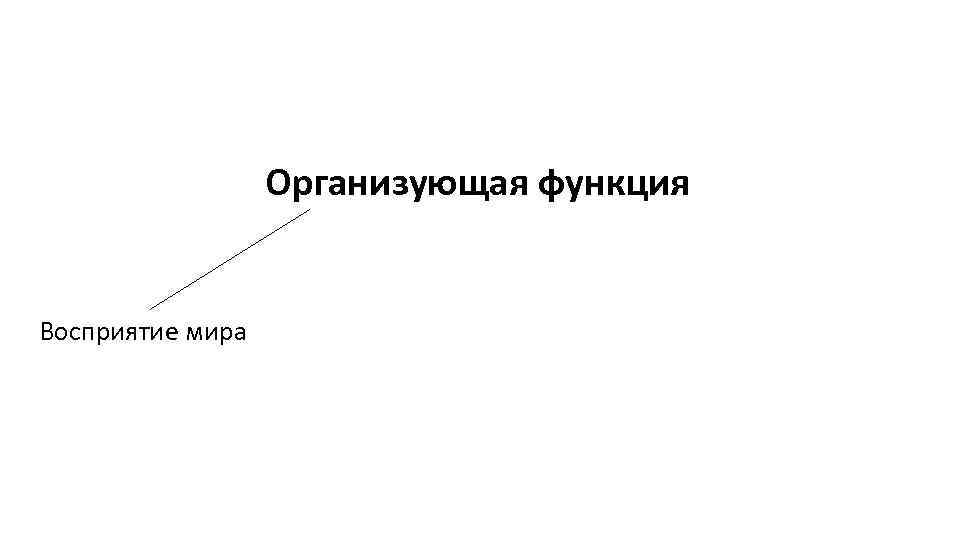 Организующая функция Восприятие мира 