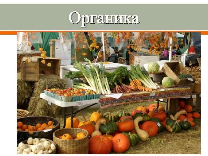 Органика 