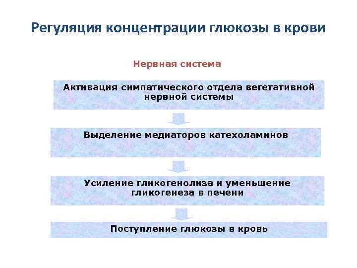 Регуляция концентрации глюкозы в крови Нервная система Активация симпатического отдела вегетативной нервной системы Выделение