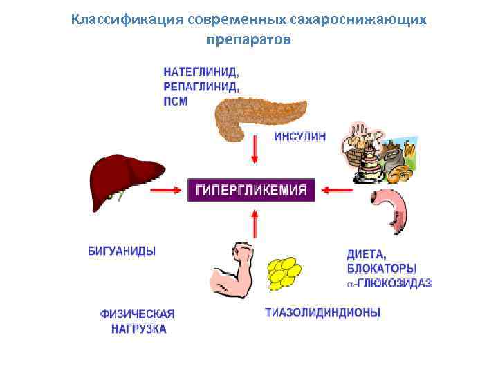 Классификация современных сахароснижающих препаратов 