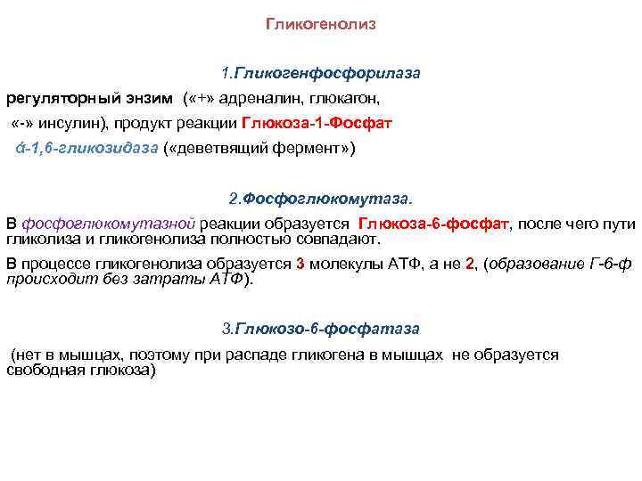 Гликогенолиз 1. Гликогенфосфорилаза регуляторный энзим ( «+» адреналин, глюкагон, «-» инсулин), продукт реакции Глюкоза-1