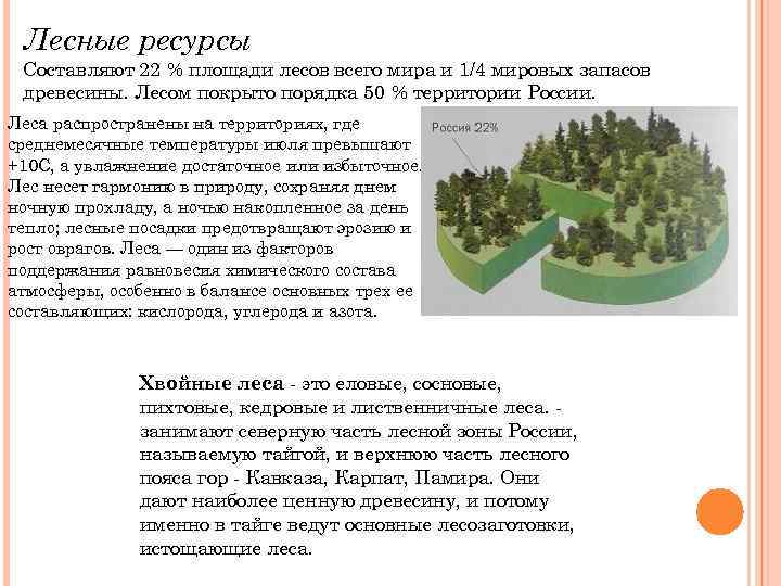 Лесные ресурсы Составляют 22 % площади лесов всего мира и 1/4 мировых запасов древесины.