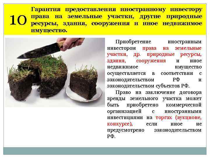 10 Гарантия предоставления иностранному инвестору права на земельные участки, другие природные ресурсы, здания, сооружения