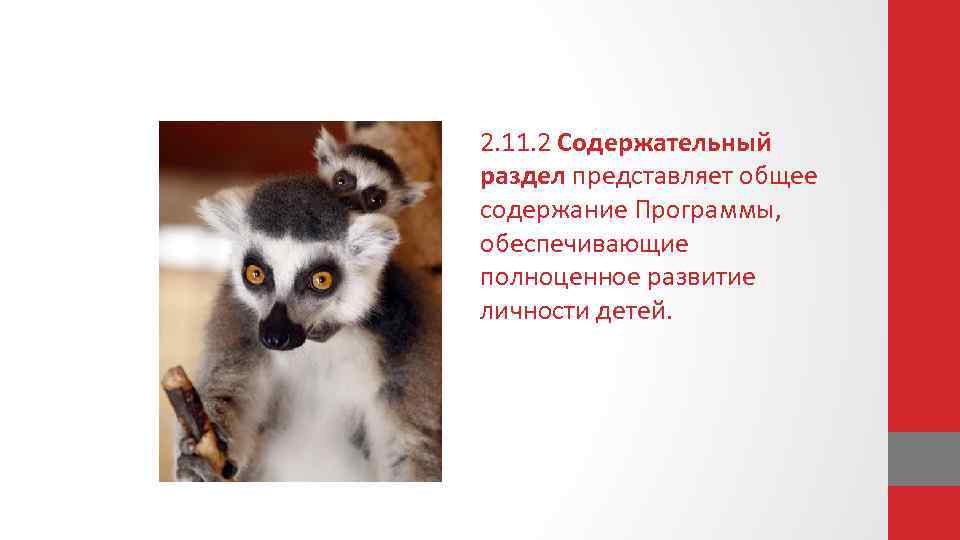 2. 11. 2 Содержательный раздел представляет общее содержание Программы, обеспечивающие полноценное развитие личности детей.