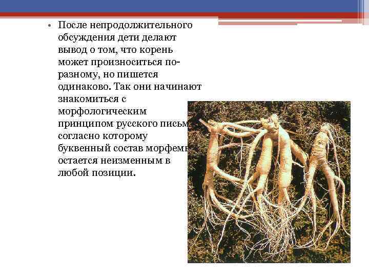  • После непродолжительного обсуждения дети делают вывод о том, что корень может произноситься