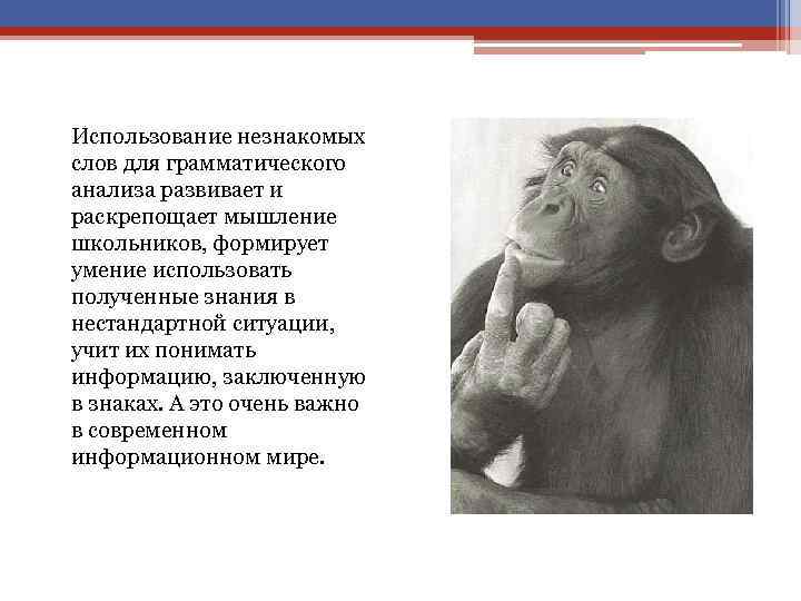 Использование незнакомых слов для грамматического анализа развивает и раскрепощает мышление школьников, формирует умение использовать