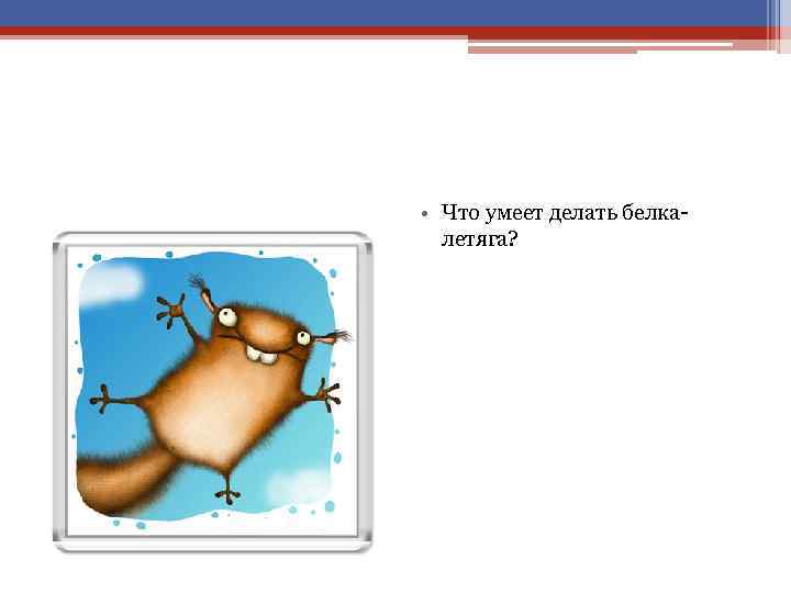 • Что умеет делать белка летяга? 