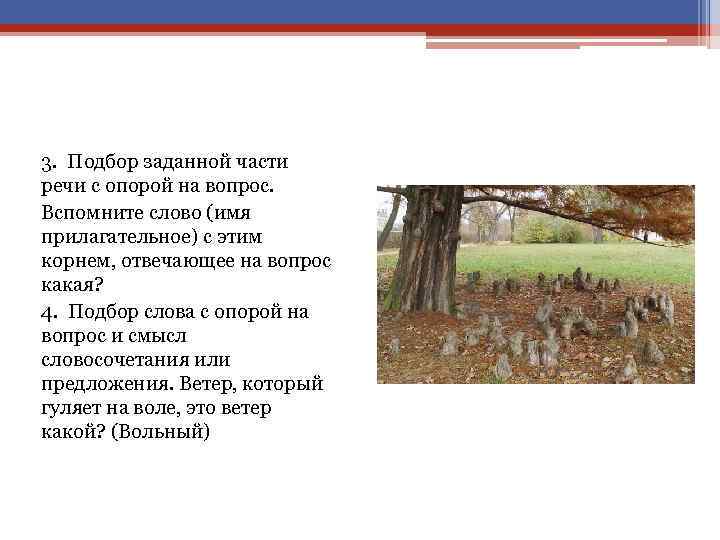 3. Подбор заданной части речи с опорой на вопрос. Вспомните слово (имя прилагательное) с