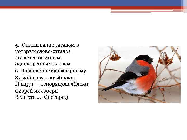 5. Отгадывание загадок, в которых слово отгадка является искомым однокоренным словом. 6. Добавление слова