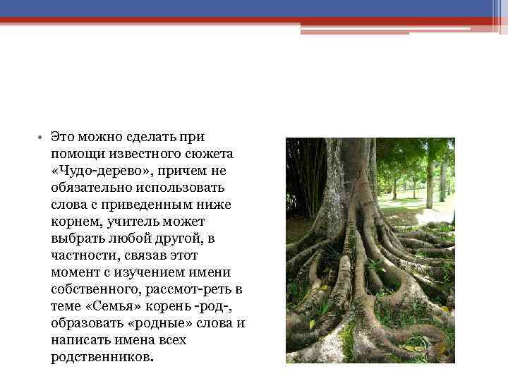  • Это можно сделать при помощи известного сюжета «Чудо дерево» , причем не