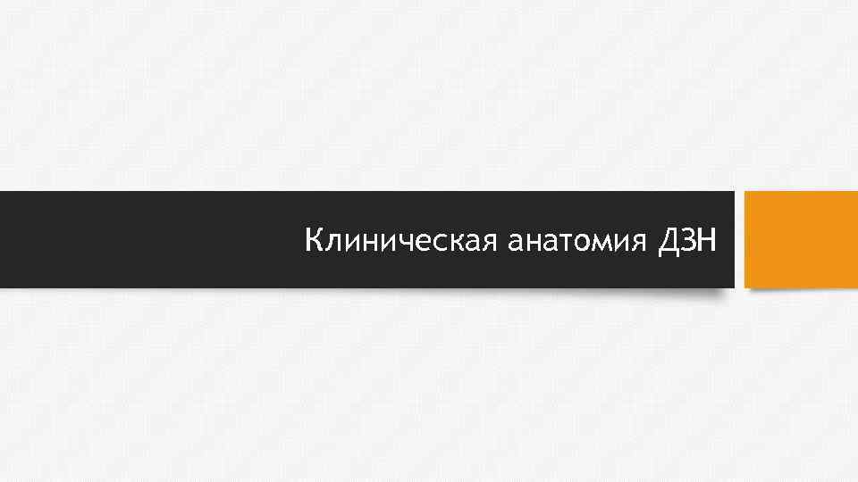 Клиническая анатомия ДЗН 