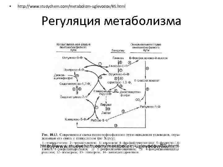 Карта метаболизма биохимия