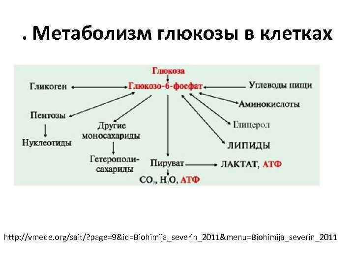 . Метаболизм глюкозы в клетках http: //vmede. org/sait/? page=9&id=Biohimija_severin_2011&menu=Biohimija_severin_2011 