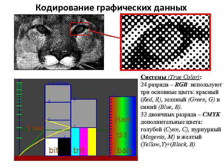 Кодирование графических данных Системы (True Color): 24 разряда – RGB используют три основные цвета: