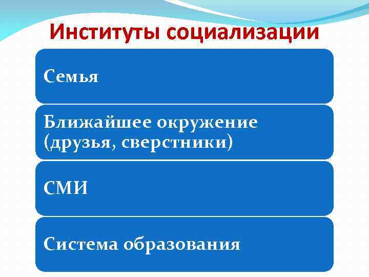 Институты социализации Семья Ближайшее окружение (друзья, сверстники) СМИ Система образования 