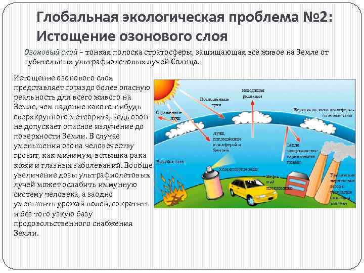 Глобальная экологическая проблема № 2: Истощение озонового слоя Озоновый слой – тонкая полоска стратосферы,