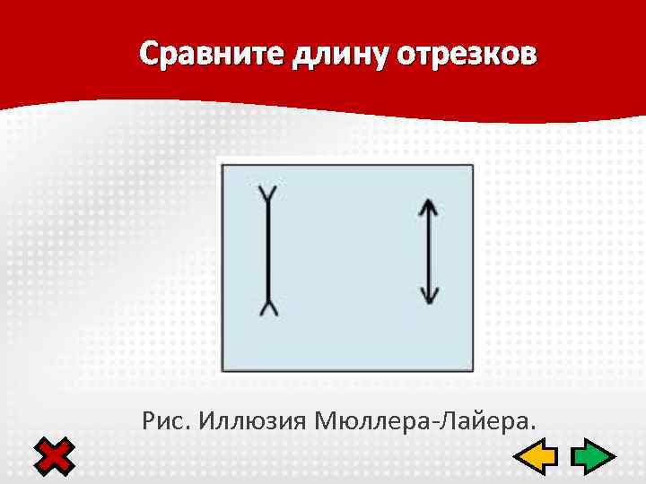 Сравните длину отрезков Рис. Иллюзия Мюллера-Лайера. 