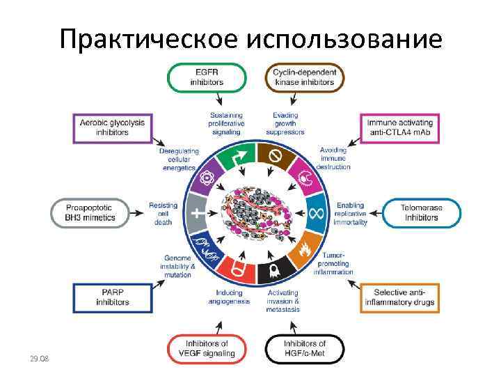 Практическое использование 29. 08. 2013 