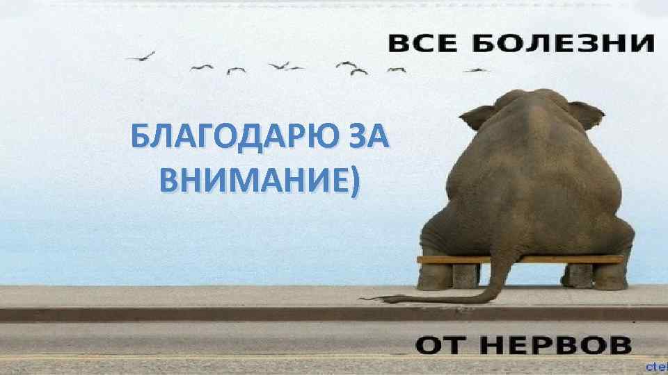 БЛАГОДАРЮ ЗА ВНИМАНИЕ) 