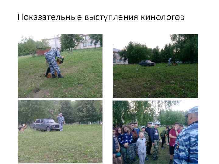 Показательные выступления кинологов 