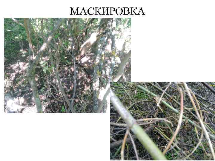 МАСКИРОВКА 