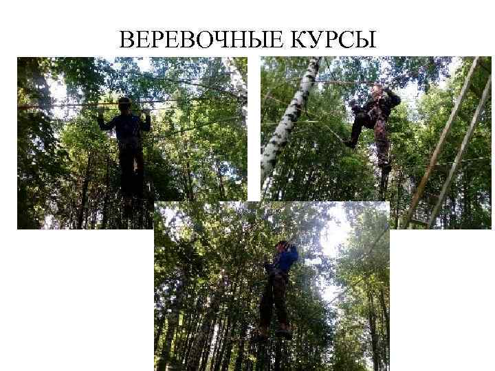 ВЕРЕВОЧНЫЕ КУРСЫ 