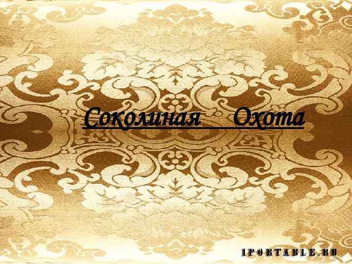 Соколиная Охота 