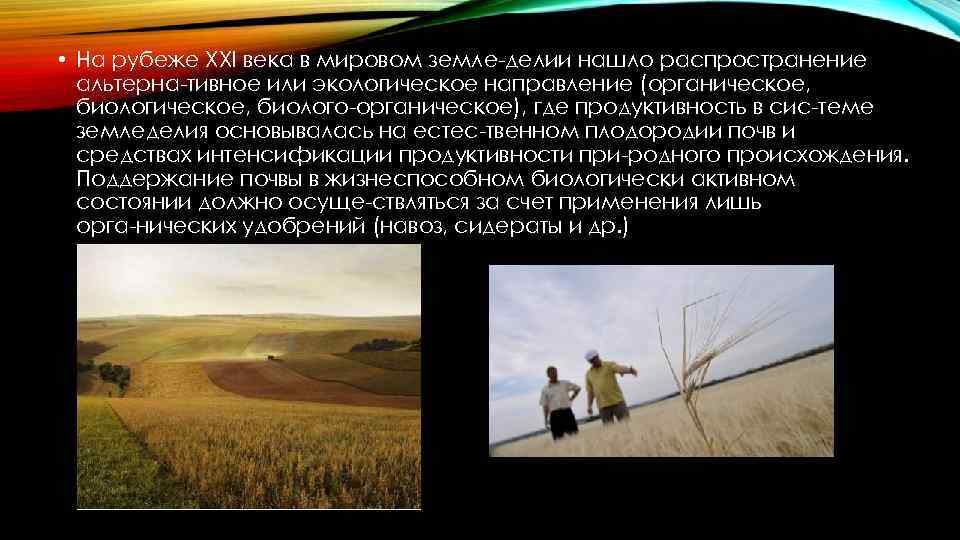  • На рубеже XXI века в мировом земле делии нашло распространение альтерна тивное