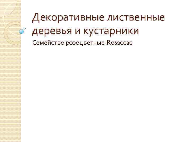 Декоративные лиственные деревья и кустарники Семейство розоцветные Rosaceae 