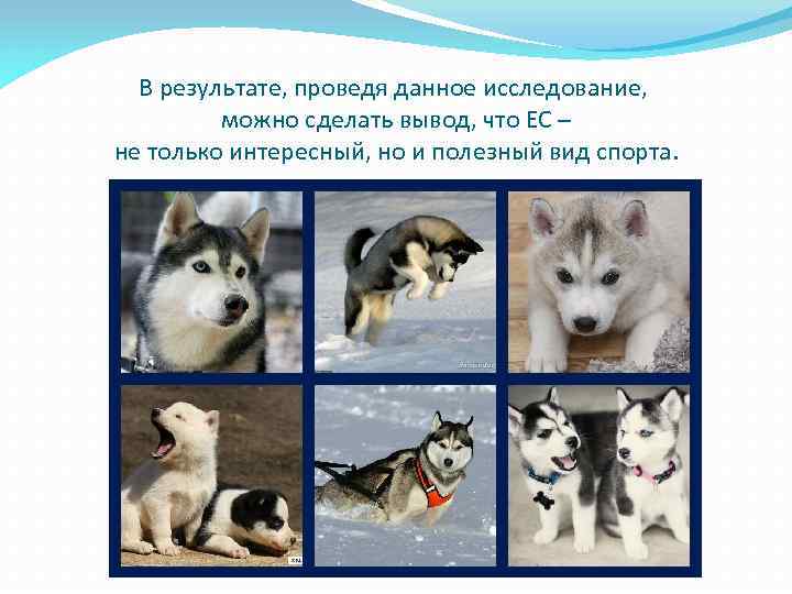 В результате, проведя данное исследование, можно сделать вывод, что ЕС – не только интересный,