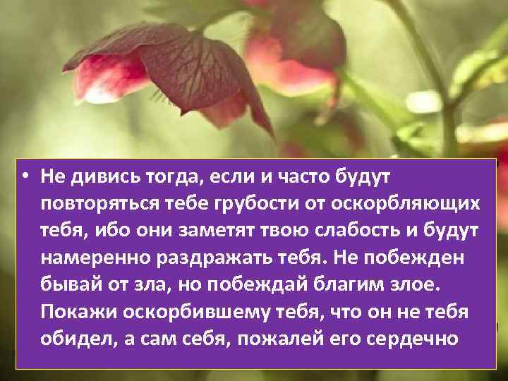  • Не дивись тогда, если и часто будут повторяться тебе грубости от оскорбляющих
