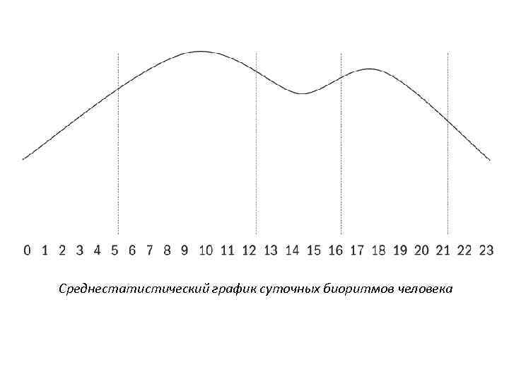 График ежедневный свободный