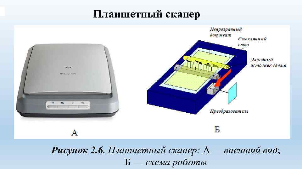 Планшетный сканер Рисунок 2. 6. Планшетный сканер: А — внешний вид; Б — схема