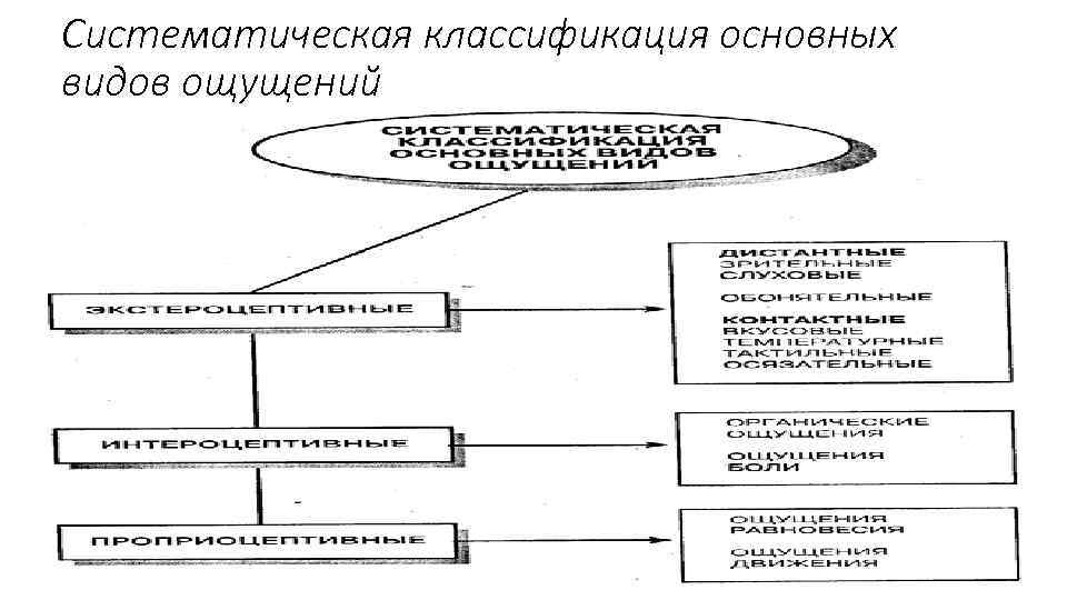 Классификация ощущений в психологии схема