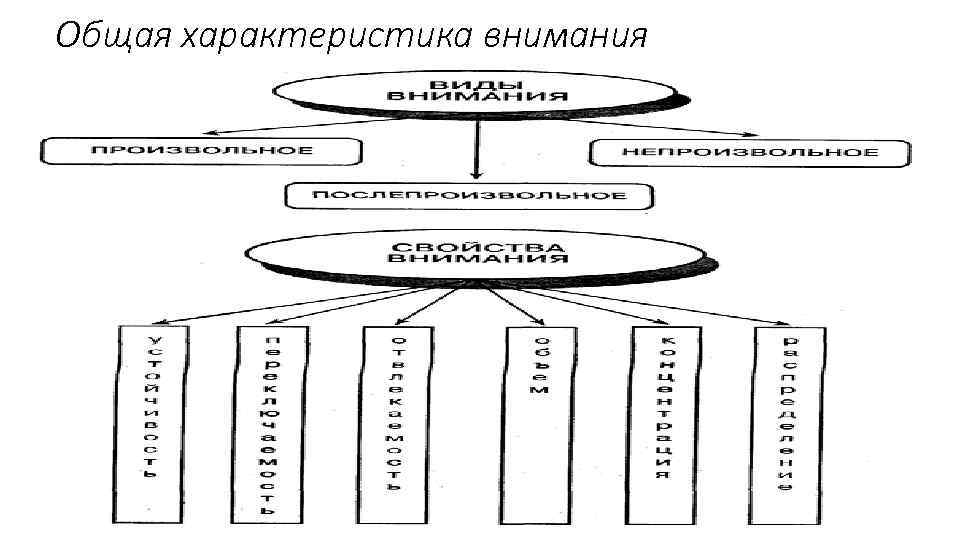 Схемы внимания. Виды внимания в психологии схема. Произвольное внимание схема. Функции внимания в психологии схема. Функции виды свойства внимания.