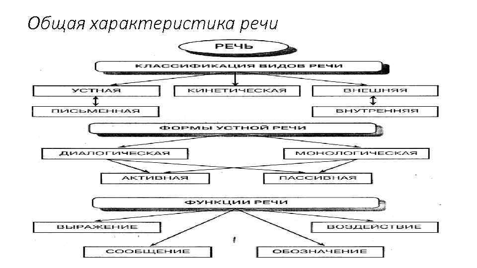 Общая характеристика речи 
