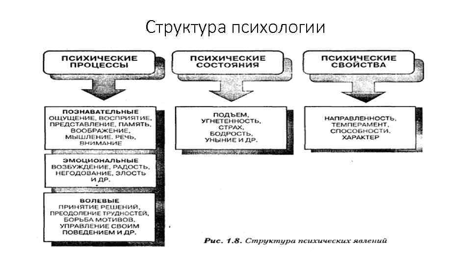 Структура психологической науки