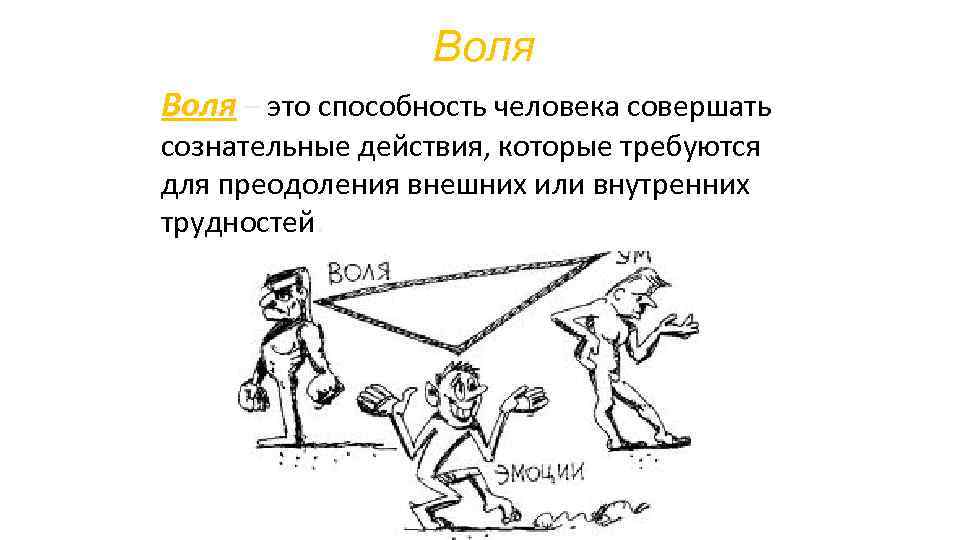 4 термин рисунок. На воле. Воля человека. Воля способность человека. Воля как человеческое качество.