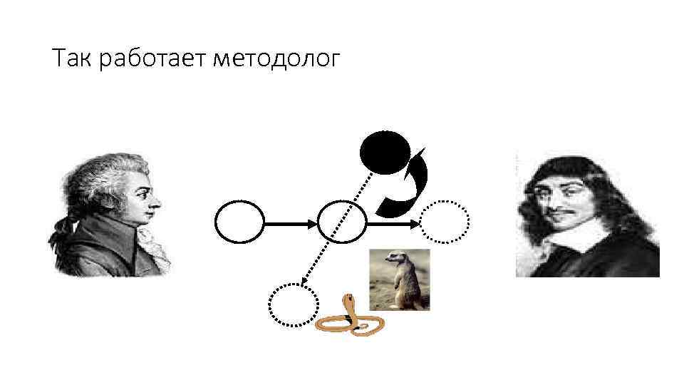 Так работает методолог 
