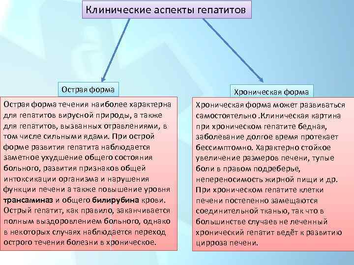 Клинические аспекты гепатитов Острая форма течения наиболее характерна для гепатитов вирусной природы, а также