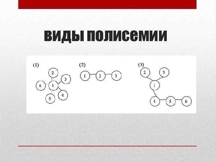 виды полисемии 