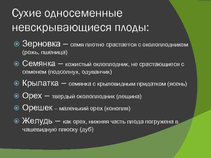 Сухие односеменные невскрывающиеся плоды: Зерновка – семя плотно срастается с околоплодником (рожь, пшеница) Семянка