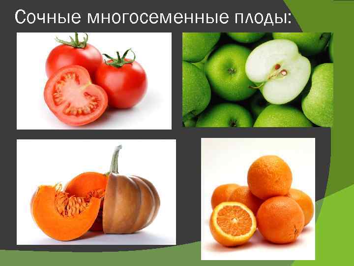 Сочные многосеменные плоды: 