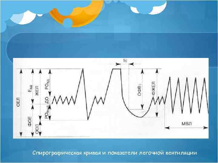 Спирографическая кривая и показатели легочной вентиляции 