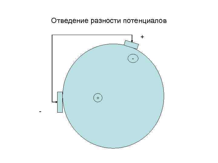 Отведение разности потенциалов + - 