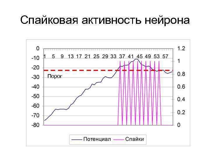 Спайковая активность нейрона Порог 
