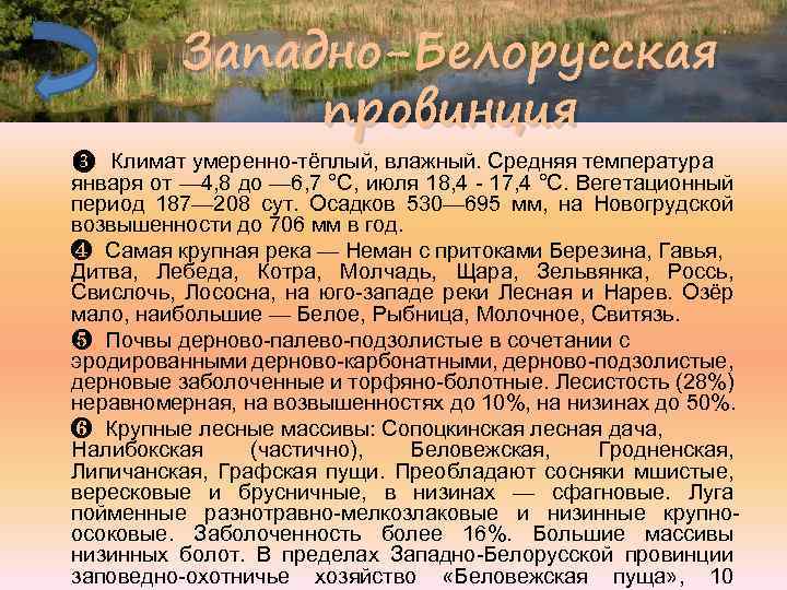 Западно-Белорусская провинция ❸ Климат умеренно-тёплый, влажный. Средняя температура января от — 4, 8 до