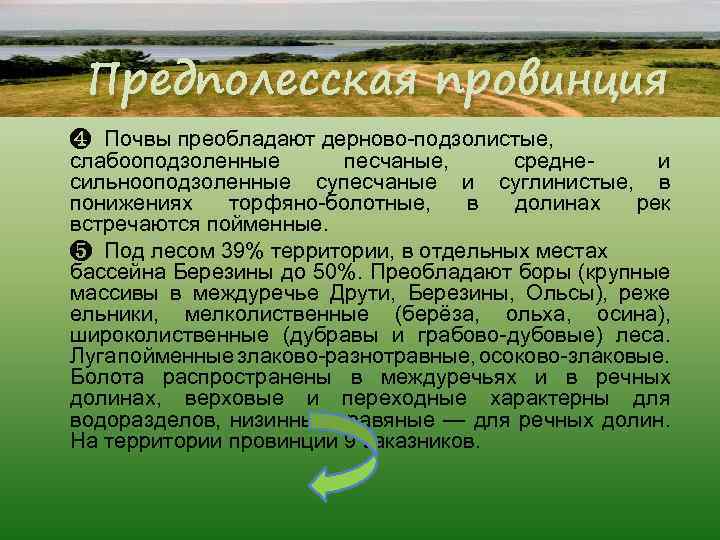 Предполесская провинция ❹ Почвы преобладают дерново-подзолистые, слабооподзоленные песчаные, среднеи сильнооподзоленные супесчаные и суглинистые, в